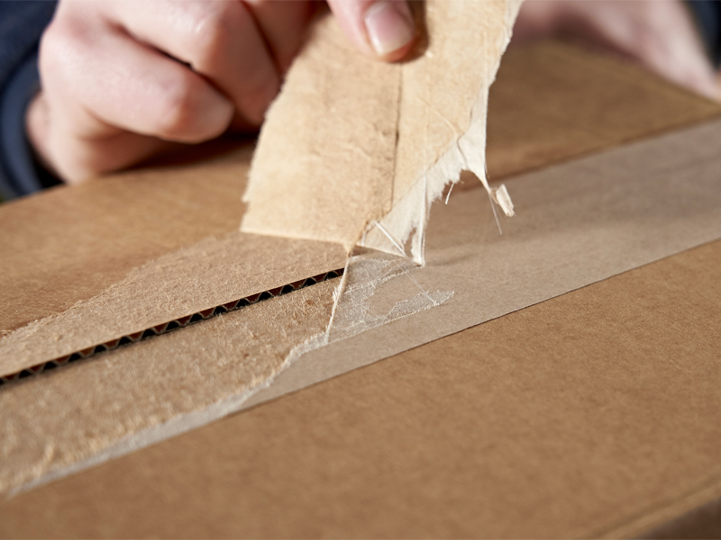 Carta adesiva naturale compostabile - 2